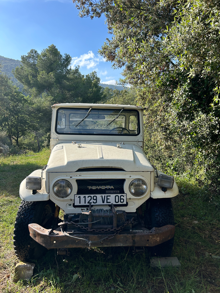 TOYOTA LAND CRUISER 1975 SERIE 4